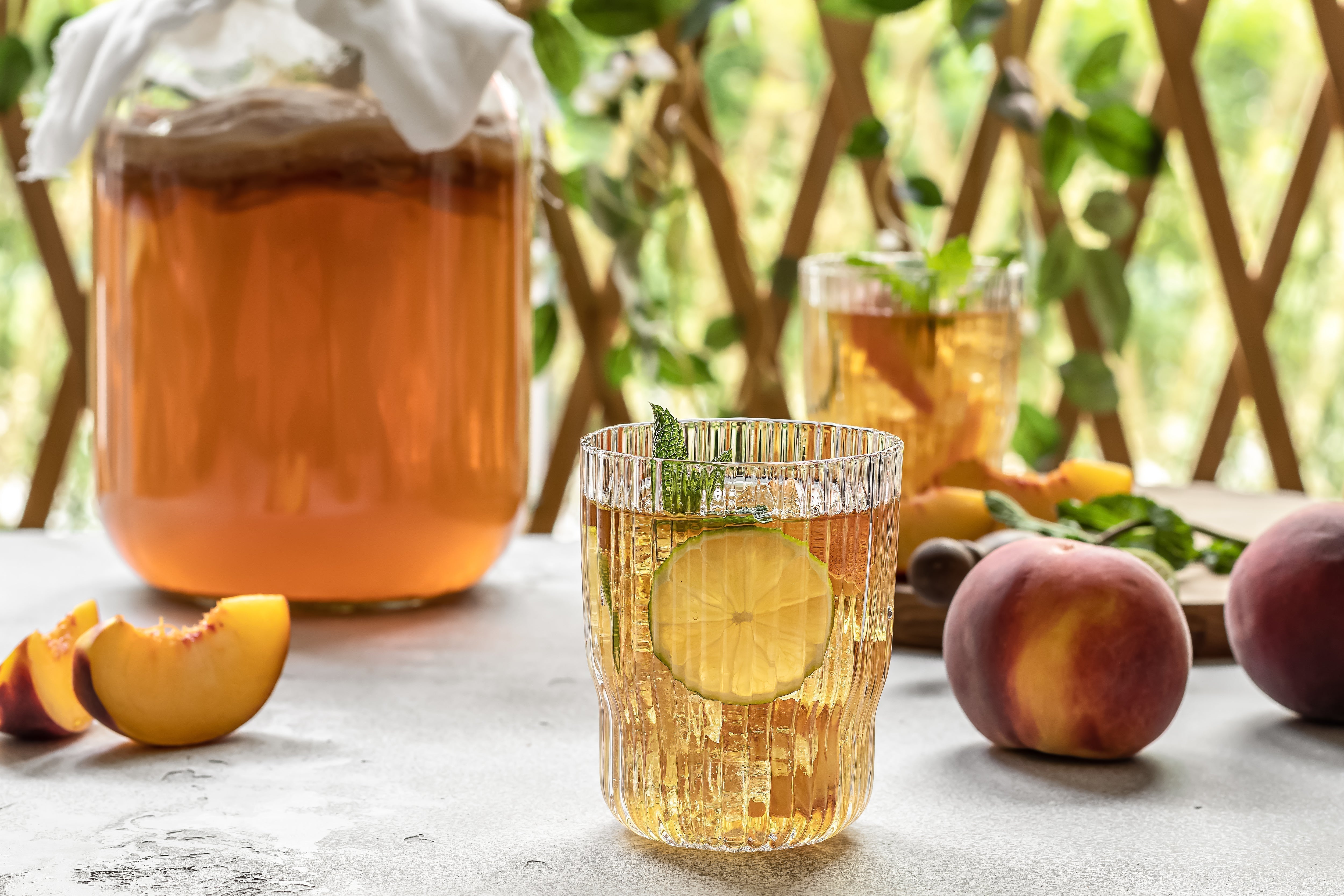 World Kombucha Day am 21. Februar: Geschichte, Fakten & Tipps zum Feiern