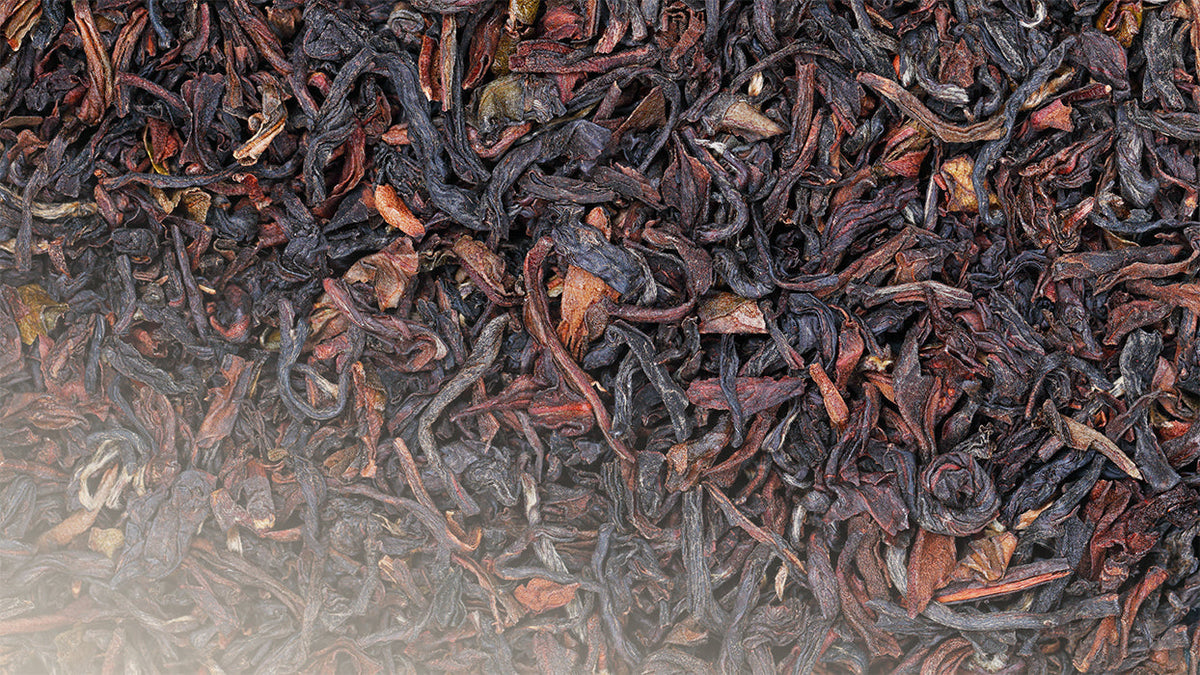 Tee fuer Kombucha