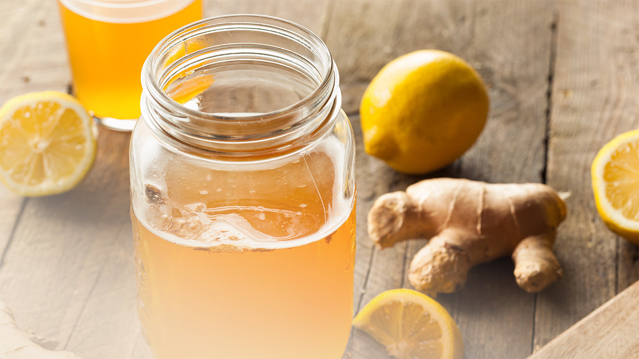Glas Kombucha Ingwer Zitrone Ingwerwurzeln Zitronen auf Holztisch