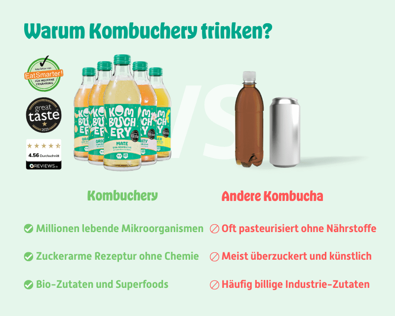 Kombucha Mixpaket 12x 330ml